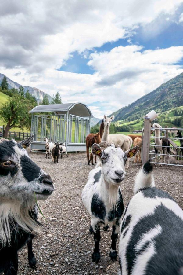 Ruggenthalerhof Lejlighed Matrei in Osttirol Eksteriør billede